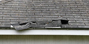 Shingle Damage